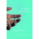 A Million Little Pieces By James Frey