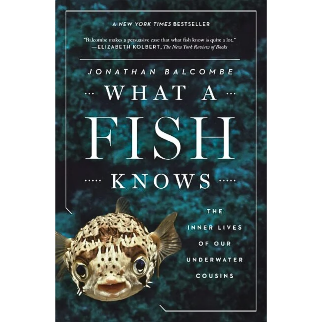 What a Fish Knows By Jonathan Balcombe