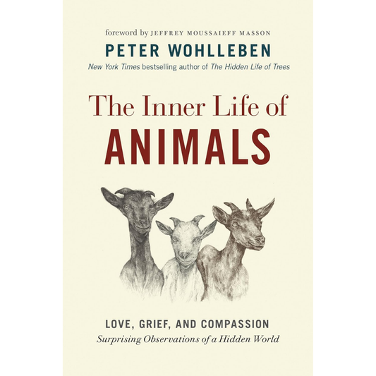 Inner Life Of Animals By Peter Wohlleben