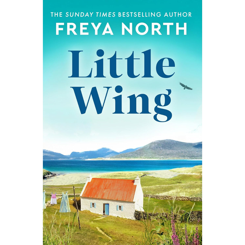 Little Wing By Freya North