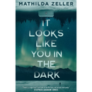 It Looks Like You in the Dark By Mathilda Zeller
