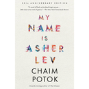 My Name Is Asher Lev By Chaim Potok