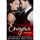 The Final Chapter By Shandi Boyes