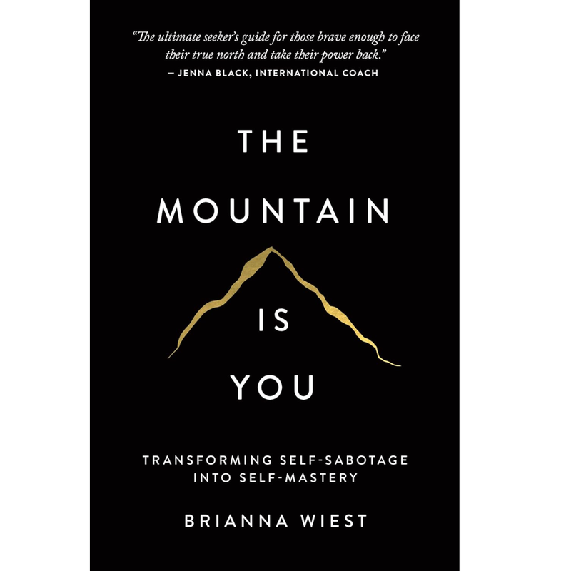 The Mountain Is You by Brianna Wiest