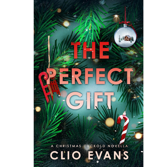 The Perfect Gift By Clio Evans