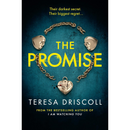 The Promise By Teresa Driscoll