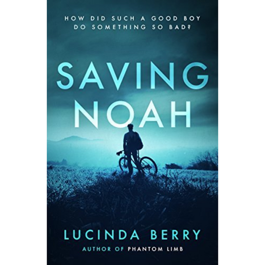 Saving Noah By Lucinda Berry