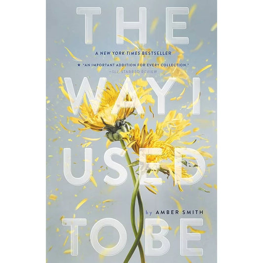 The Way I Used to Be by Amber Smith