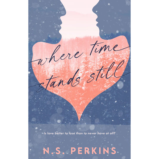 Where Time Stands Still by N.S. Perkins