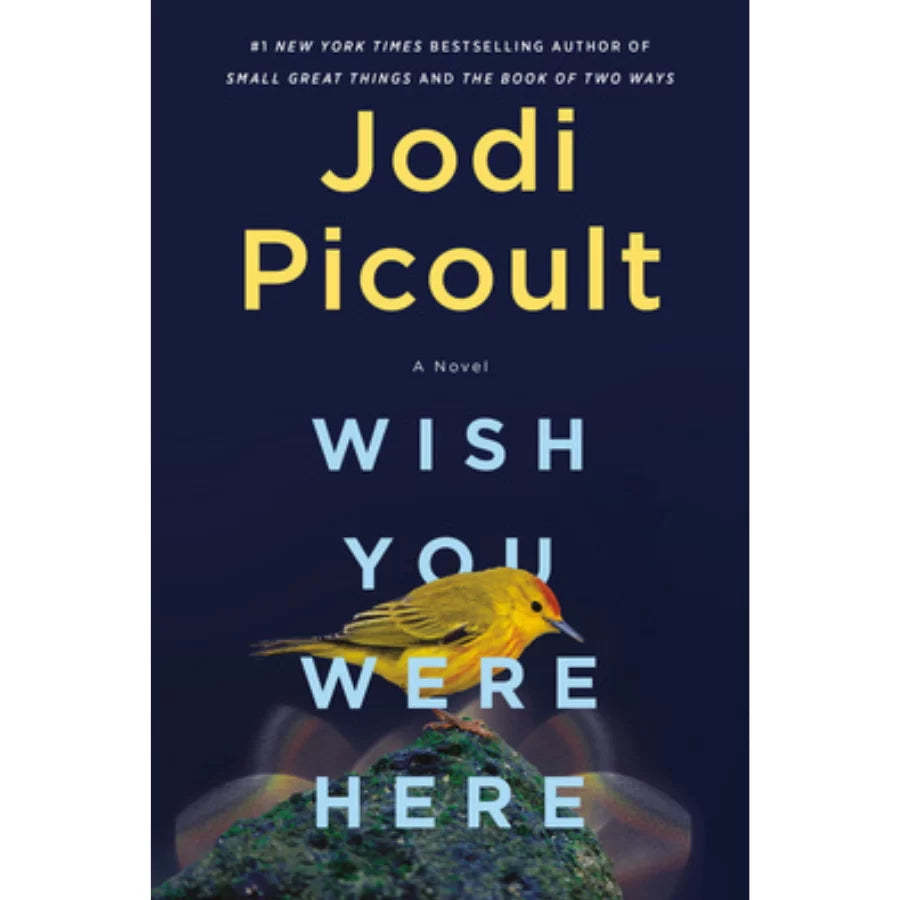 Wish You Were Here by Jodi Picoult