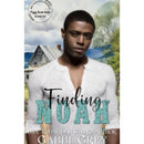 Finding Noah by Gabbi Grey