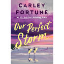 Our Perfect Storm By  Carley Fortune